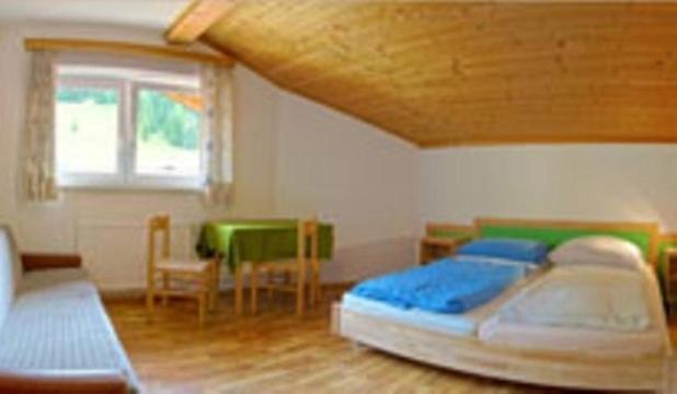 Jugendgastehaus Steiner Hostel Eben Im Pongau Exterior photo
